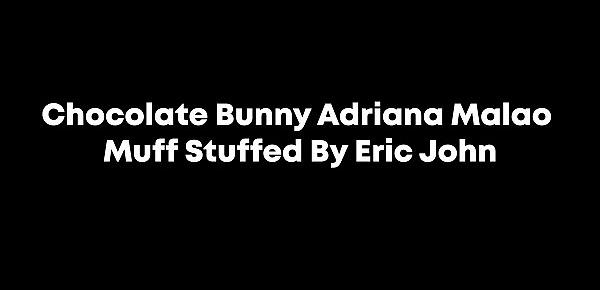  Chocolate Bunny Adriana Malao Muff Stuffed By Eric John